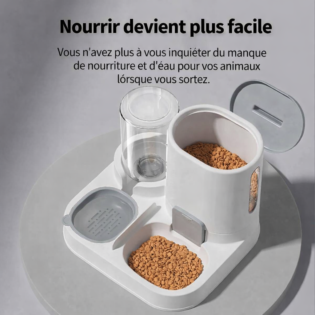 Distributeur Automatique Eau Croquettes